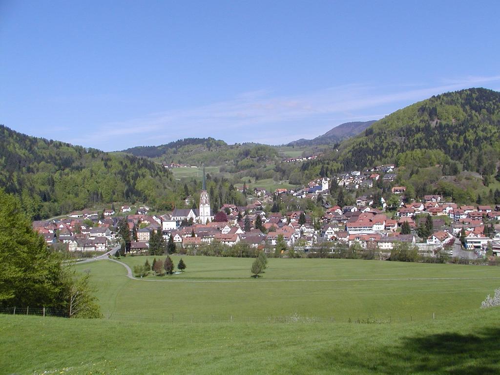 Parkhotel Sonne Schonau im Schwarzwald Ngoại thất bức ảnh